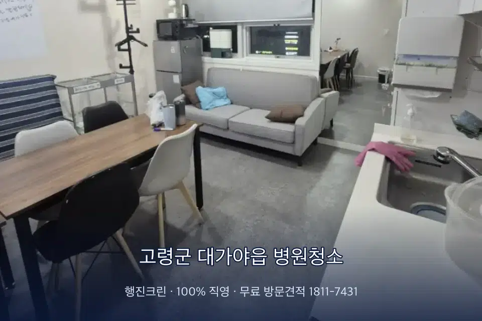 고령군 대가야읍 병원청소